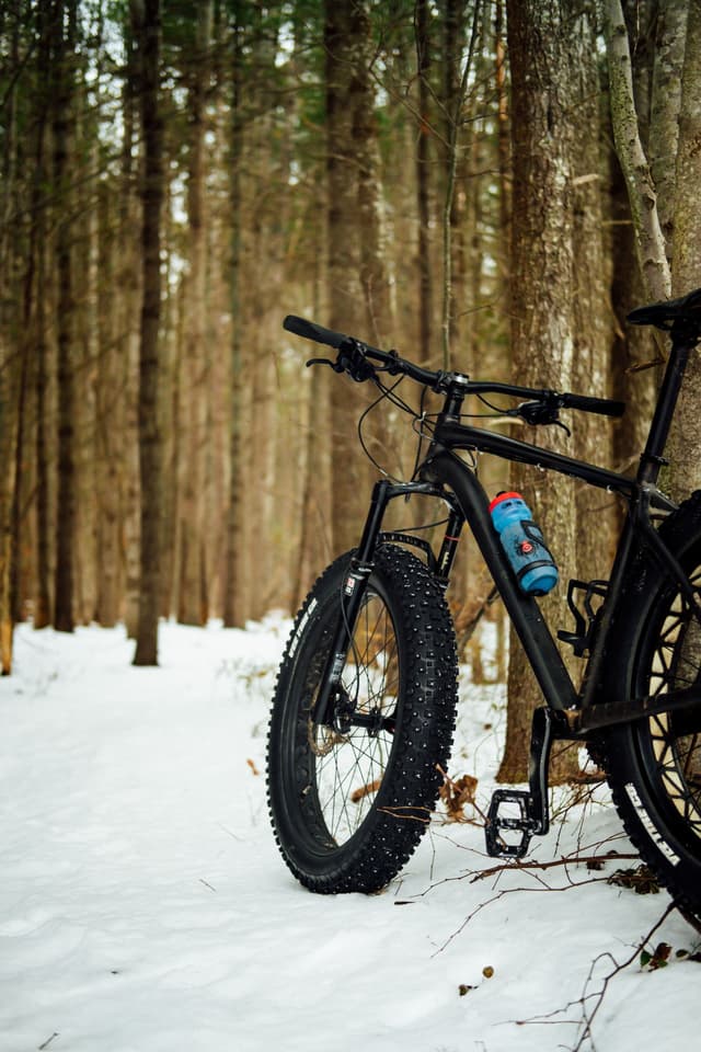Vélo vitaminé